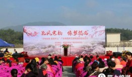 揭西今日河山爆料,今日爆料聚焦地方发展新动态