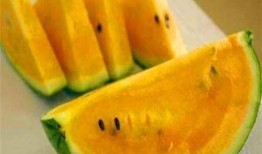 富富吃网红瓜,揭秘娱乐圈幕后故事